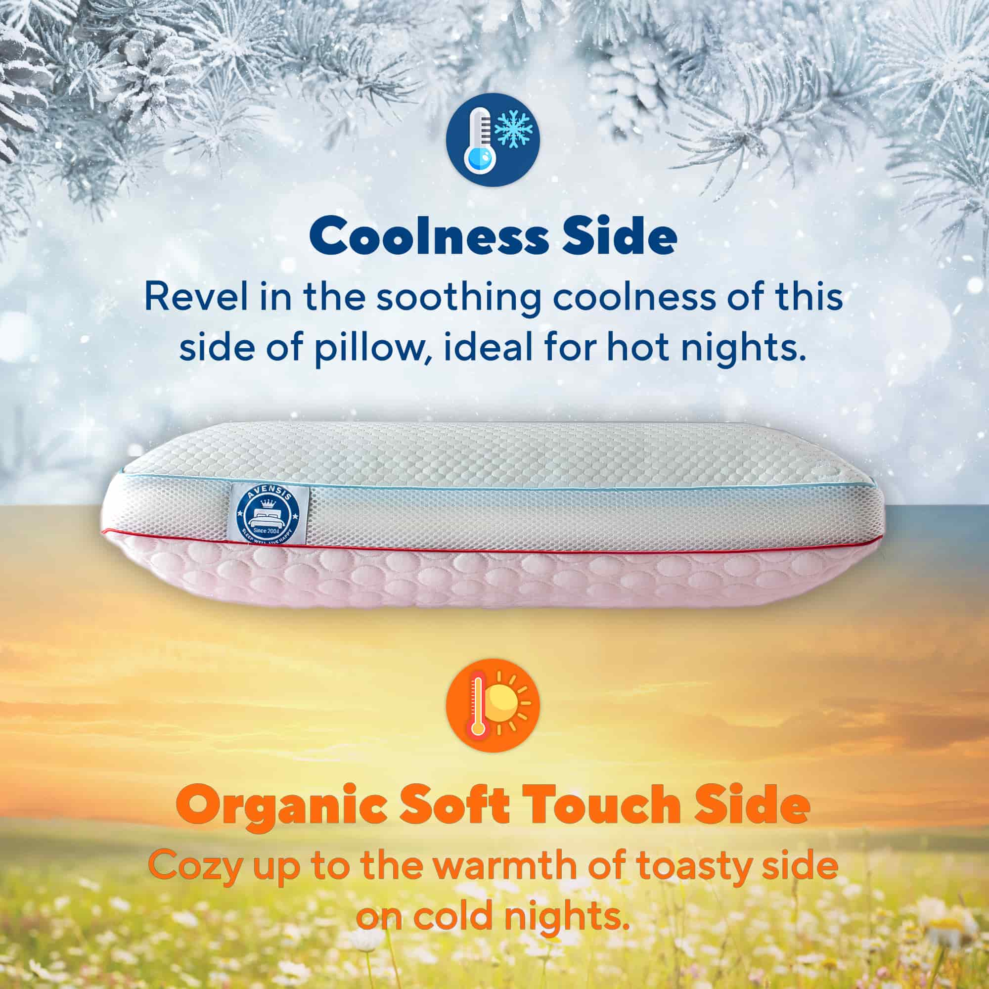 Win-sum memory foam pillow Rear View