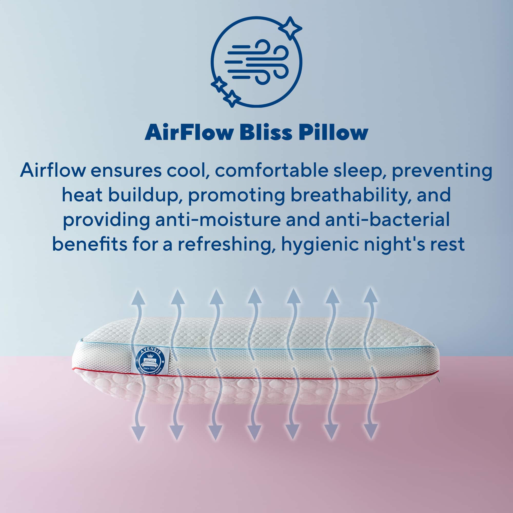 Win-sum memory foam pillow Feature